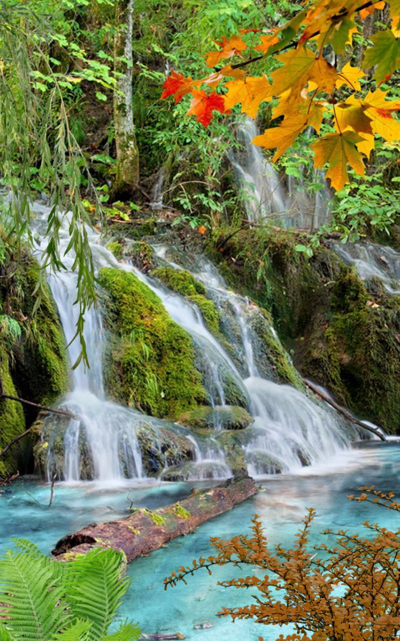 Forest, waterfall, lake