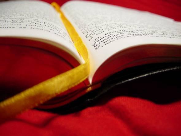 Estudo Biblico