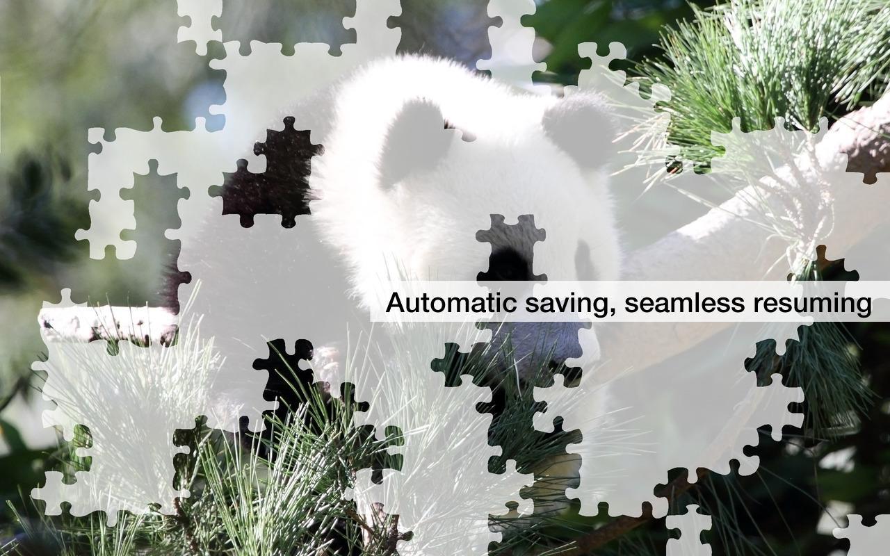 Jigsaw Puzzles: Pandas
