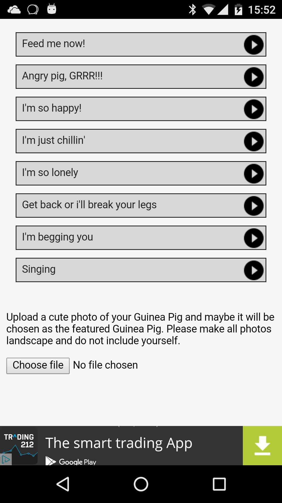 Guinea Pig Communicator