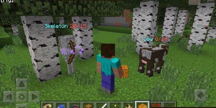 AgameR MoreOptions Mod