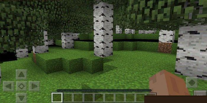 AgameR MoreOptions Mod