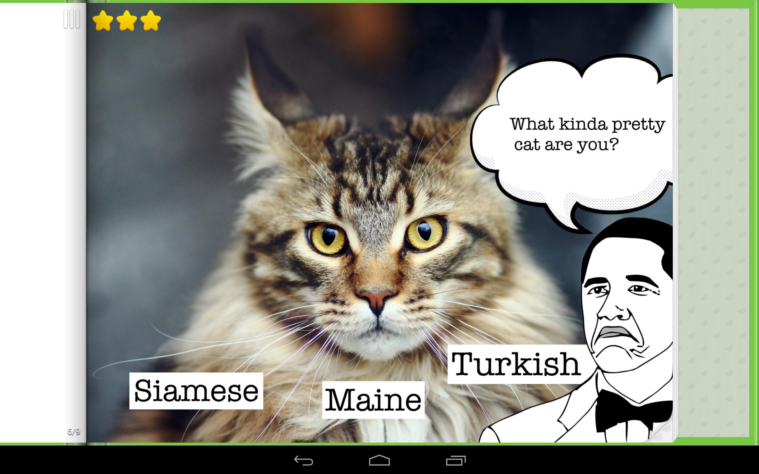 Cat Memes & Breeds Game