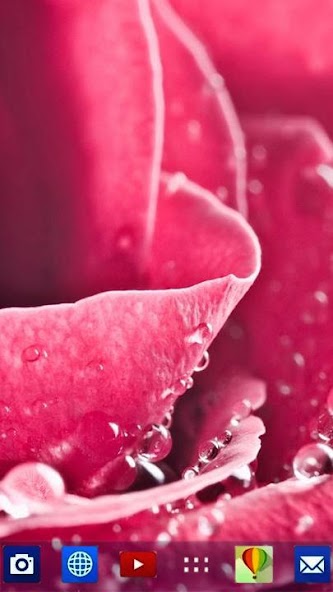 Automatic Background Changer