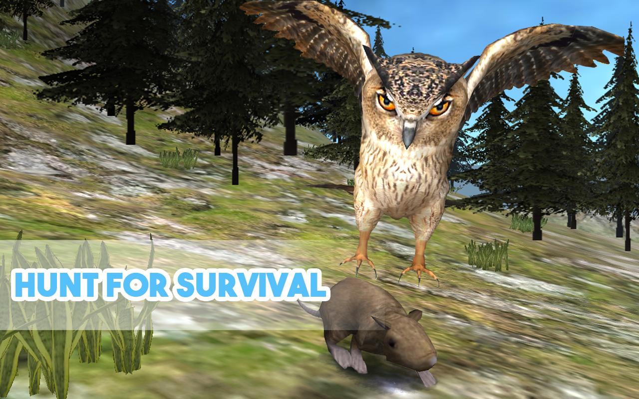 Wild Owl Simulator 3D