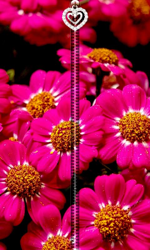 Daisy Flowers Zipper UnLock