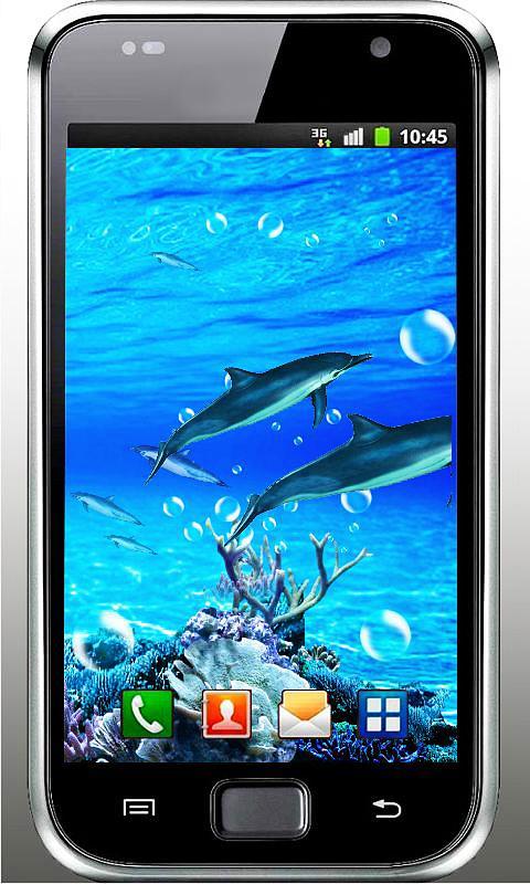 Dolphin Sounds Live Wallpaper