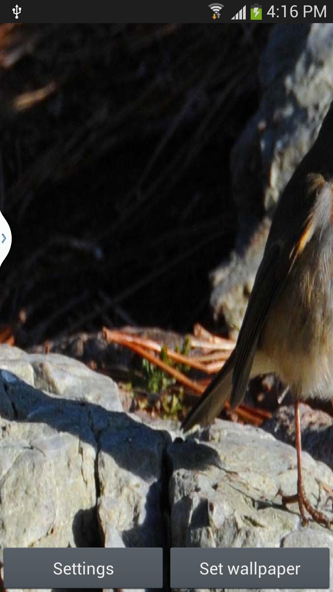 Dynamic Live Wallpaper