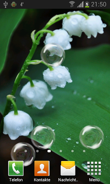 May-lily Live Wallpaper