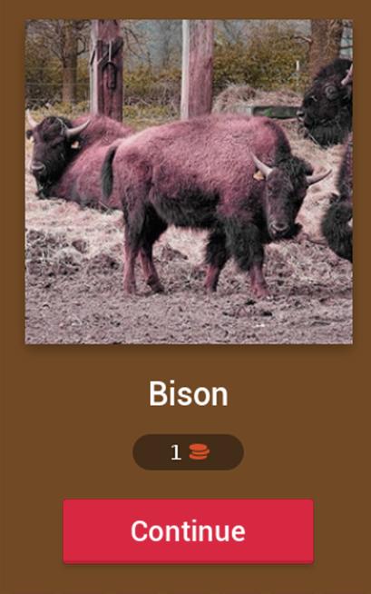 animals Quiz 2019-best Quiz 2019