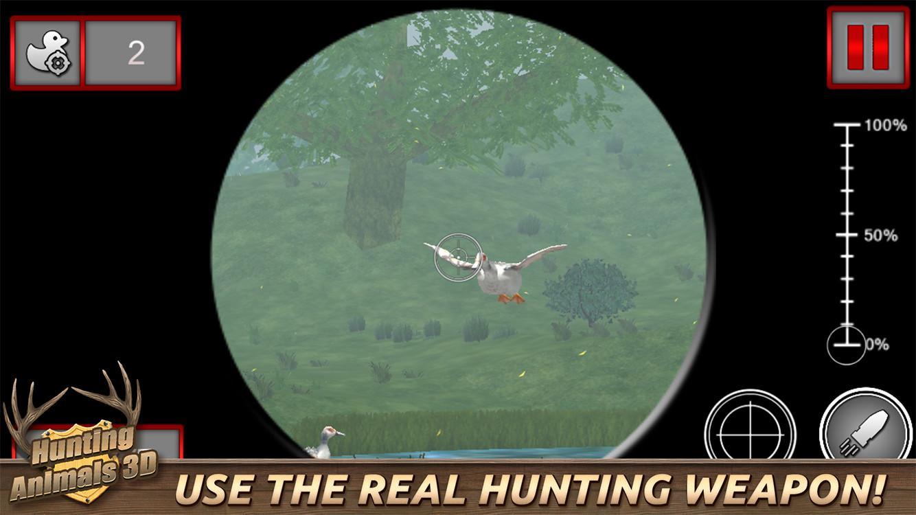 Hunting Animals 3D