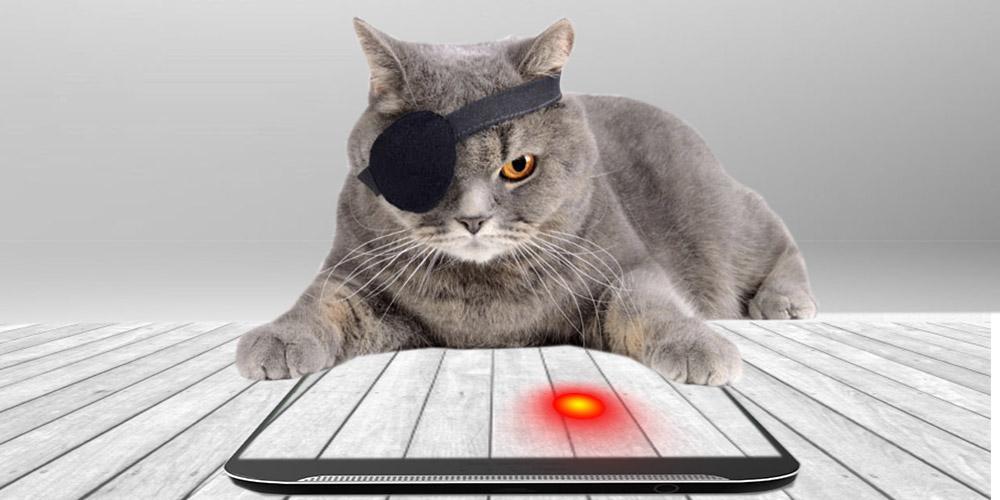 Laser Cat Simulator