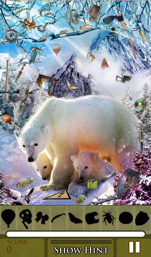 Hidden Object - Winterland