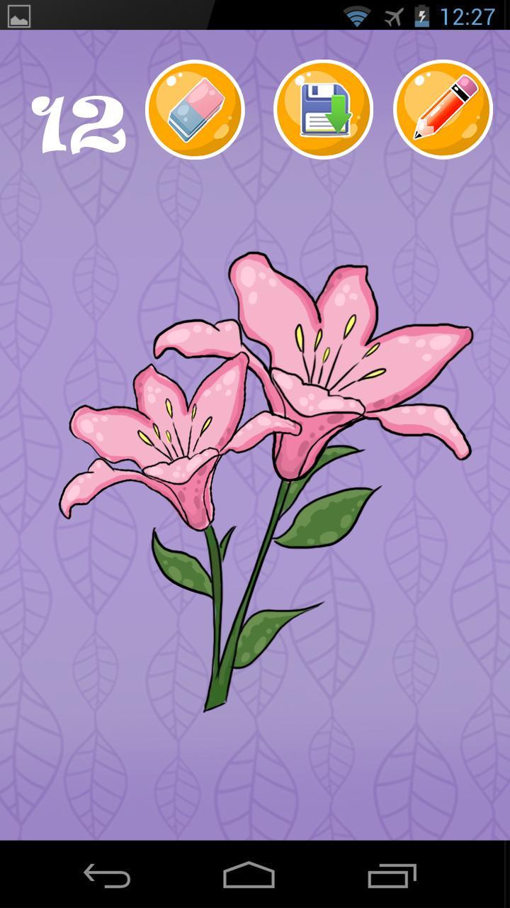 Drawing Lesson Flowers