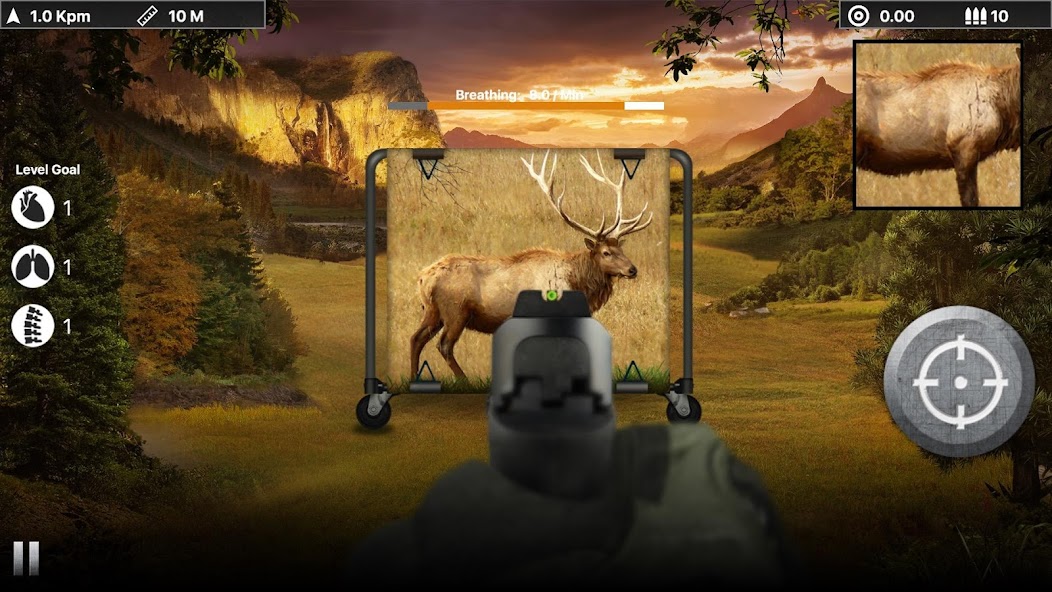 Deer Target Hunting - Pro