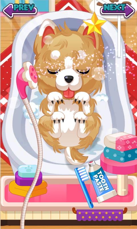 Judy's Pet Care - Girls Game