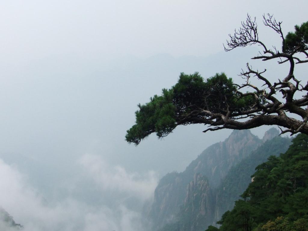 Ninja: The Lost Dreams