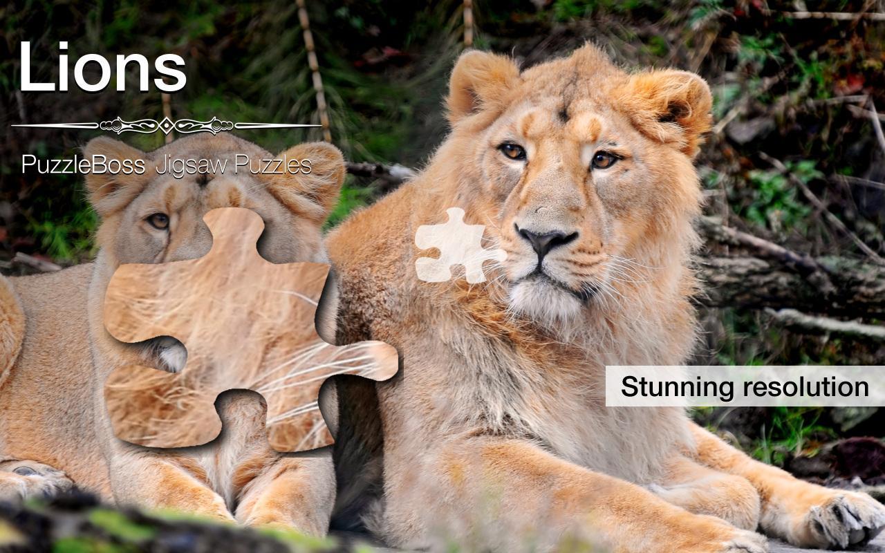 Lion Jigsaw Puzzles Demo