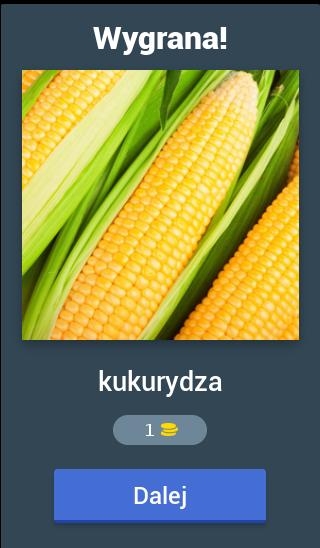 Zgadnij! Owoce i warzywa