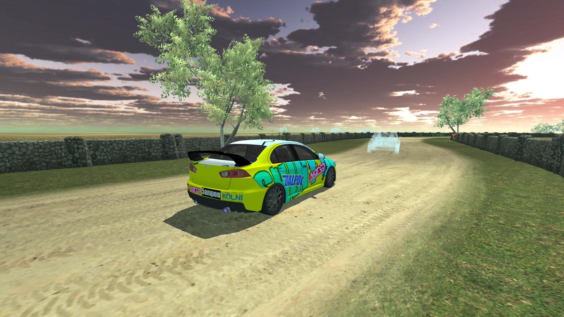 Rally Driver